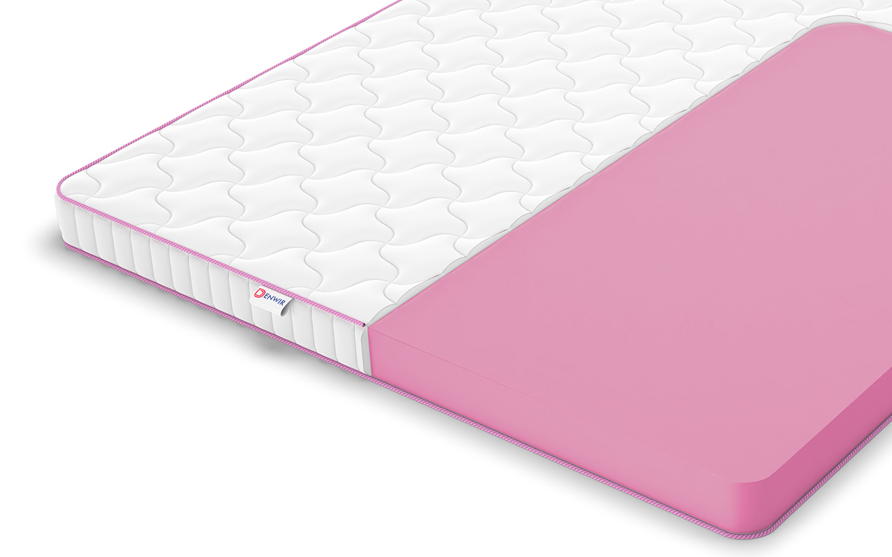 Denwir Мега Ролл Фом 10 (Foam 10) фото 2