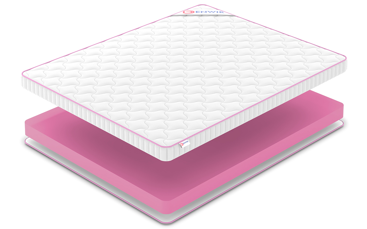Denwir Мега Ролл Фом 10 (Foam 10) фото 3